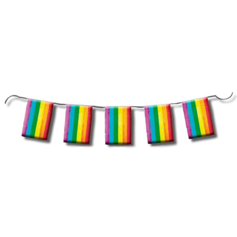 Pride Items Guirlande à fanions Rainbow 10m